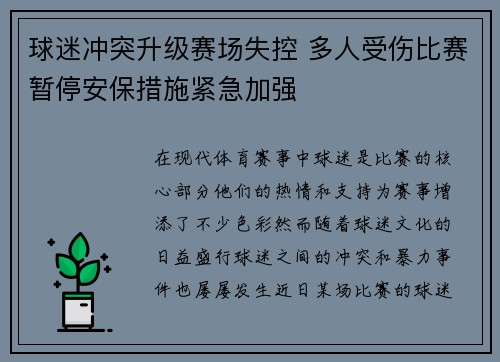 球迷冲突升级赛场失控 多人受伤比赛暂停安保措施紧急加强